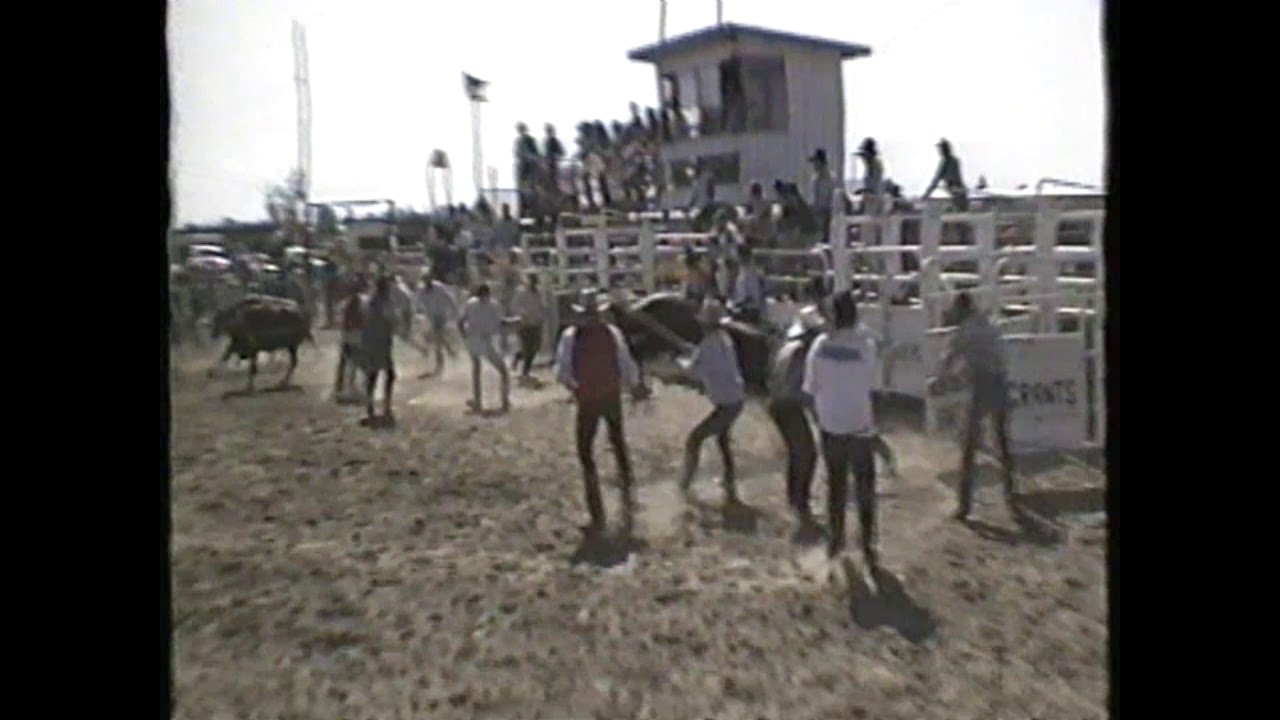 Winton Rodeo Winton Rodeo Wild Cow & Chute Dogging 1994 - YouTube