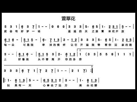 萱草花 G调伴奏 - instrumental in G