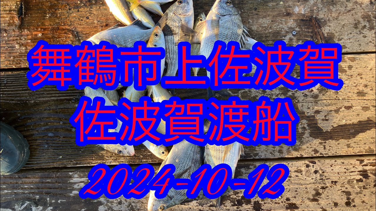 舞鶴市上佐波賀　佐波賀渡船　2024-10-12