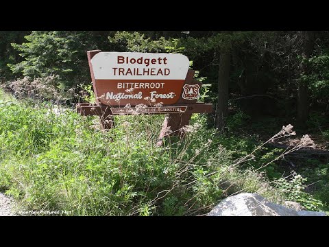 Is This the Most Beautiful Canyon in Montana? | Blodgett Canyon
