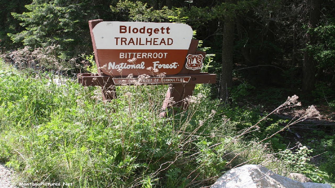 Is This the Most Beautiful Canyon in Montana? | Blodgett Canyon