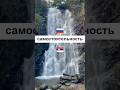 Учим сербский каждый день. Упражнения и викторины на сербском языке #учимсербский #сербскийязык