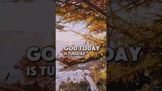Today is Tuesday | #tuesday #may26 #motivation #prayer #foryou #motivational #quotes