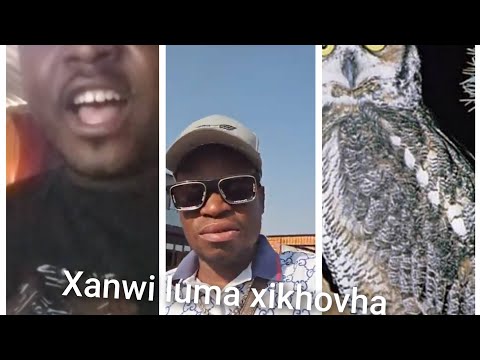 Boysevendza U Lava Ku Humesa Nghoma Yo Chinghela Kokwani Chauke Xanwi Luma Xikhovha