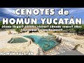 CENOTES DE HOMÚN YUCATÁN ⭐ La Guía más Completa ► ¿Cómo llegar? ¿Cuáles visitar? ¿Dónde comer? etc