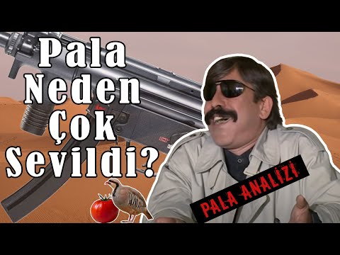 PALA ANALİZİ-PALA NEDEN