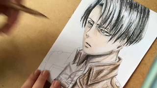 Levi Ackerman | Speedpaint | Attack On Titan