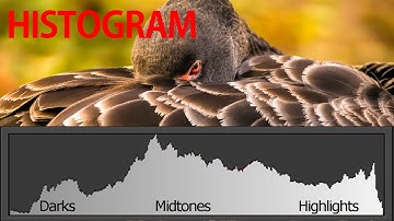 What Is A Histogram? - Photography Histogram Explained