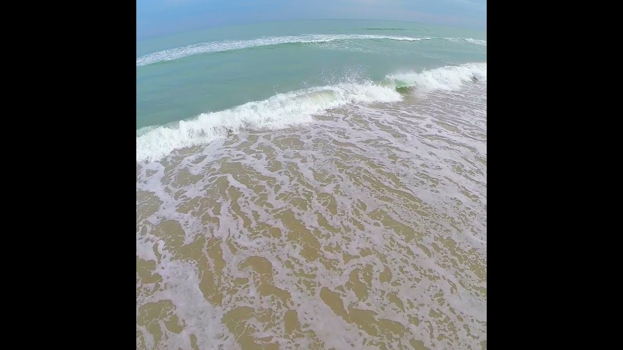 Sea lice reported on Florida beach