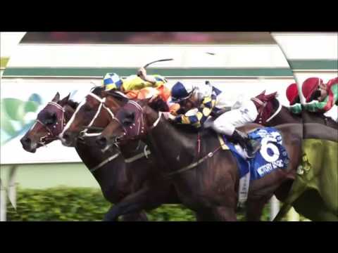 [香港廣告](2016)馬季開鑼(16：9) [HD]