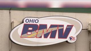 Information Ohio BMV changes how sex is listed on driver's licenses and state IDs News