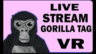 Gorilla Tag live with viewers #49