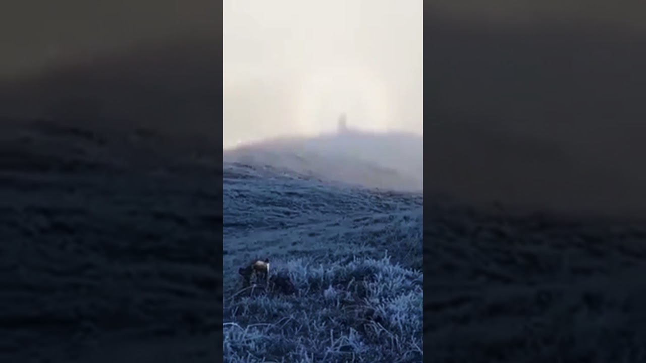 явление пресвятой богородицы в иерусалиме. явление пресвятой богородицы в иерусалиме. крестный ход иерусалим. явление богородицы в иерусалиме. дивеево монастырь явление богородицы.