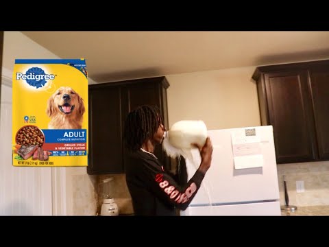 dog-food-in-cereal-prank-on-boyfriend!!!