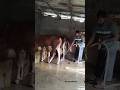 zam zam cattle farm.mornig time #trending #shorts #cow #cattle #foryou #viral