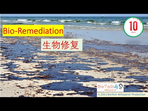 在十分钟内, 学习 Bioremediation 生物修复 (Chinese)