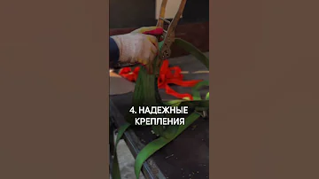 10 признаков надежного перевозчика