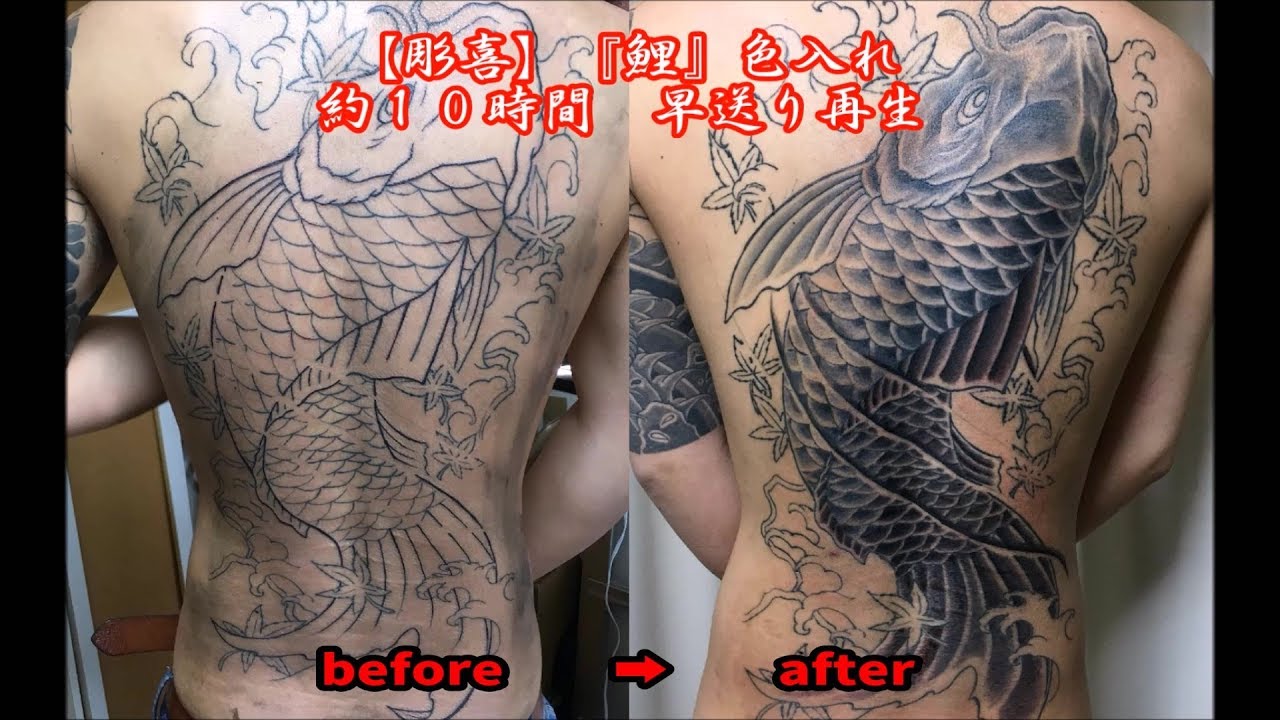 彫喜 鯉 背中 色入れ 早送り再生 刺青 入墨 Tattoo Youtube