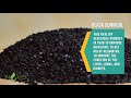 Black cumin oil