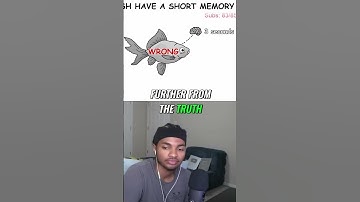 Goldfish Memory vs  Gen Z Attention Span!!!