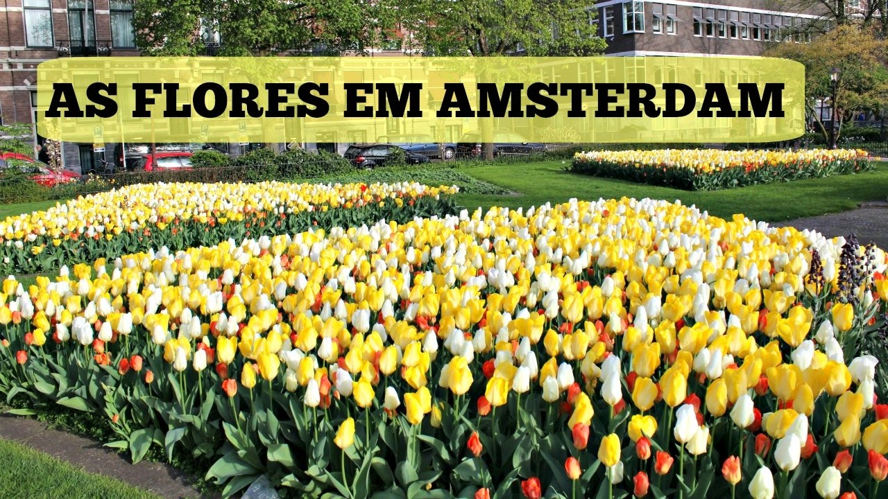 FLORES EM AMSTERDAM NA HOLANDA - VLOG - YouTube