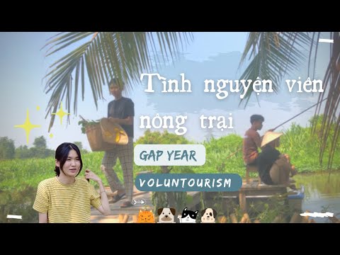 Video: Thuế thừa kế. Các loại thuế phải nộp khi nhận thừa kế theo di chúc và theo quy định của pháp luật