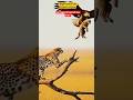 "Right Before the Lioness’s Eyes, an Eagle Snatched Her Cub!" #shorts
