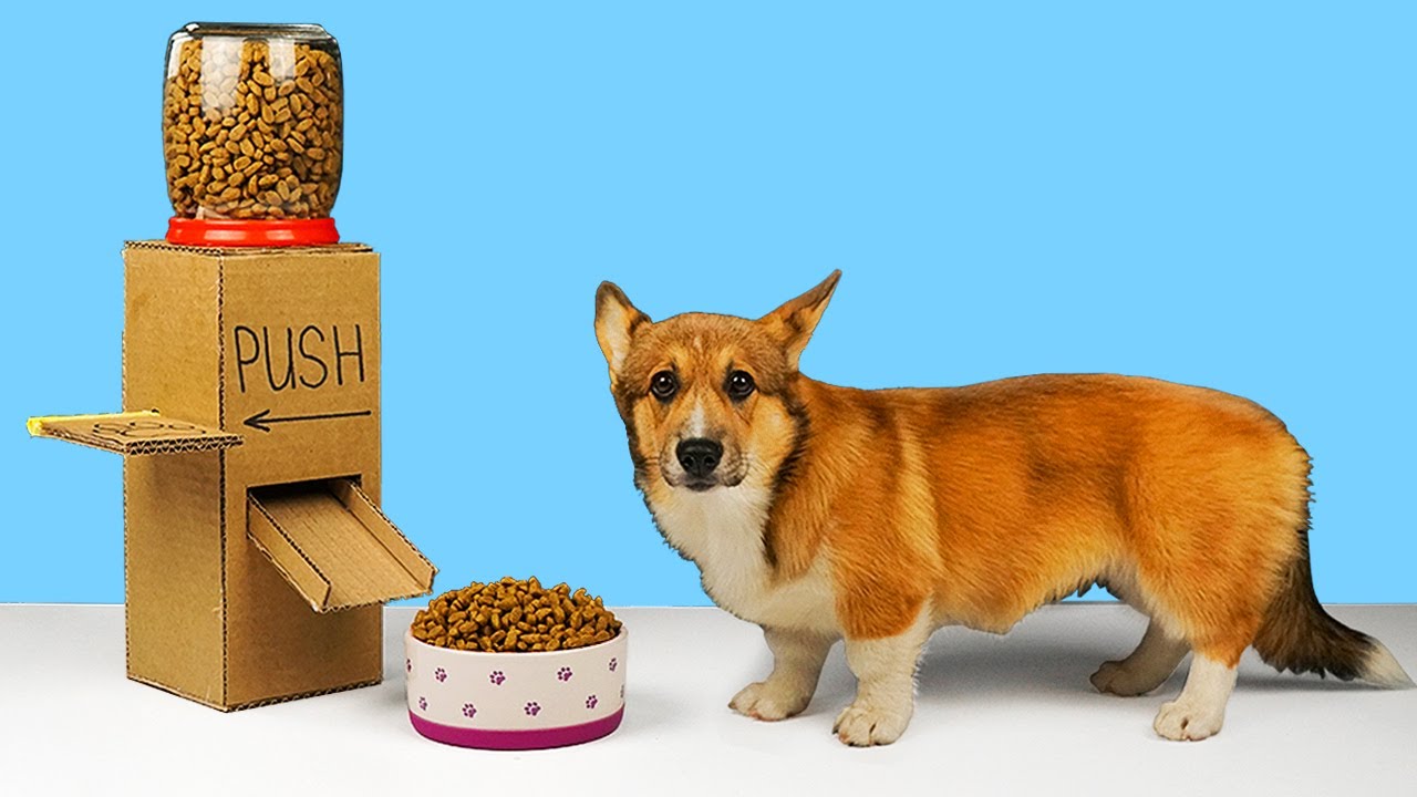 How to make Amazing Dog Food Dispenser with Button 