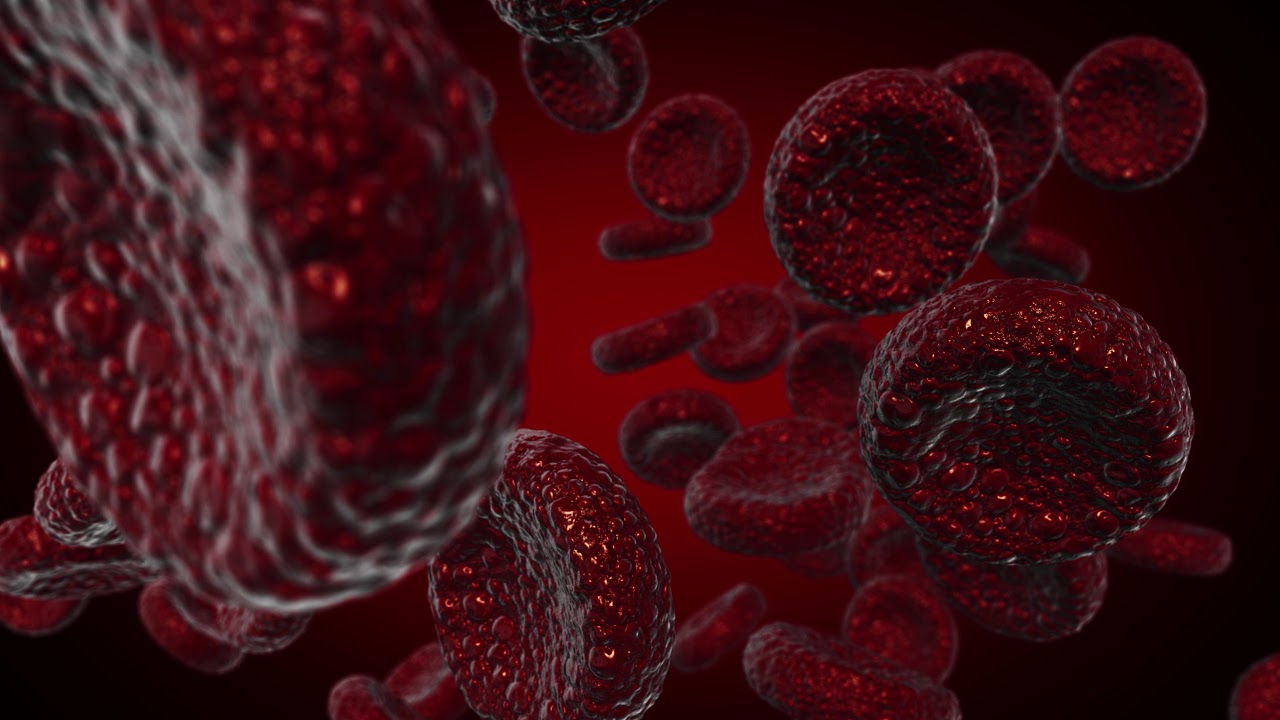 Red blood cells Use as a medical illustration is a 3d image and the ...