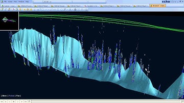 Submerged trees as shown in Echoview software using data collected witha BioSonics echosounder