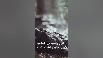 القارئ / سعيد الاركاني