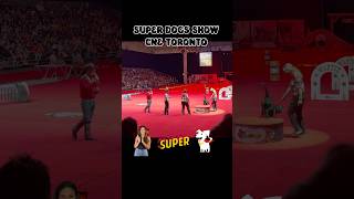 🐕 Wild Wild Woof SuperDogs Show | #CNE Toronto 2025 #superdogs #toronto #wildanimals #circus