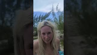 iguana Island
