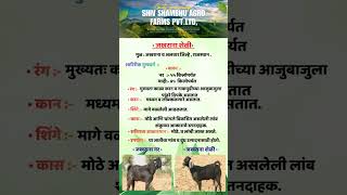 जखराना शेळीची‌ वैशिष्ट्य..! Jakharana #gaots #farming #farmer #animals #agri #agriculture #farm #gk