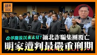 (AI中英字幕)改革開放以來未見過！緬北詐騙集團全面覆亡！11人判死刑5人緩死11名無期徒刑《蕭若元：蕭氏新聞台》2025-10-03