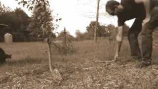 Fall Prune for the Rose of Sharon