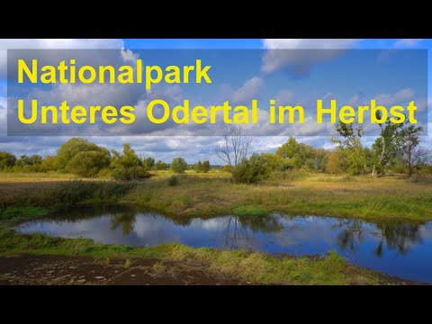 Video: Die besten Nationalparks im Herbst