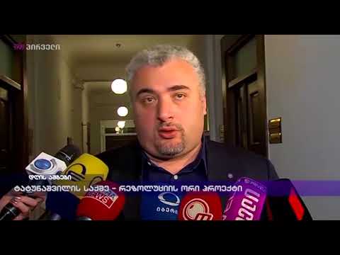 ტატუნაშვილის საქმე - რეზოლუციის ორი პროექტი