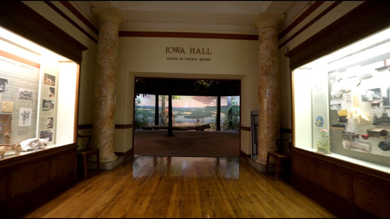 COVID19 in Iowa UI museums offering programming despite pandemic