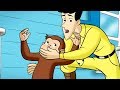 Jorge el Curioso en Español 🐵  Sorpresa para los Quint 🐵 Episodio Completo 🐵 Caricaturas Para Niños
