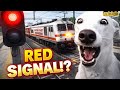 Indian Train Simulator Gameplay | Mathura to Mumbai Express 🚄 | Red Signal Crossing Challenge 😱