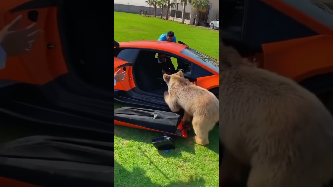 これが真の金持ちである。