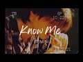 [Lyrics + Vietsub] Know Me || GEMINI