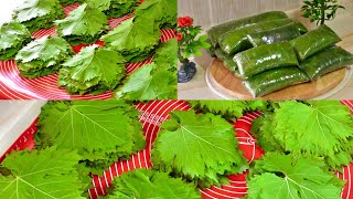 ابسط وأسهل طريقة لتفريز ورق العنب لسنوات Freezing grape leaves