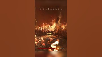 How to properly use a stalker beetle #shorts