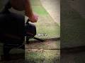 조경 작업을 바뀌놓는 만능 톱 thumbnail