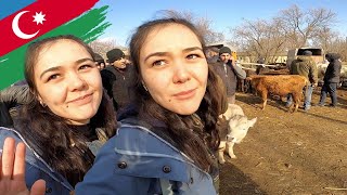 We went to the Village Market in AZERBAIJAN with Şeyma!