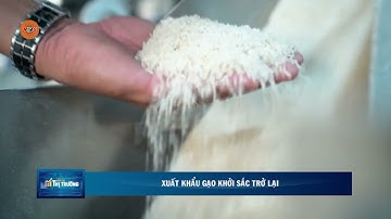 XUẤT KHẨU GẠO KHỞI SẮC TRỞ LẠI | VTV5