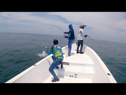 Vídeo: En Busca De La Pesca Con Explosivos En Indonesia