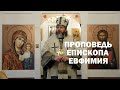 Проповедь епископа Евфимия в Неделю 19-ю по Пятидесятнице